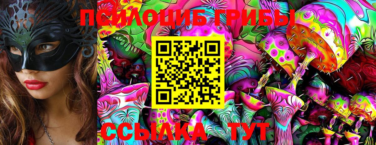 Галлюциногенные грибы Psilocybine cubensis Братск