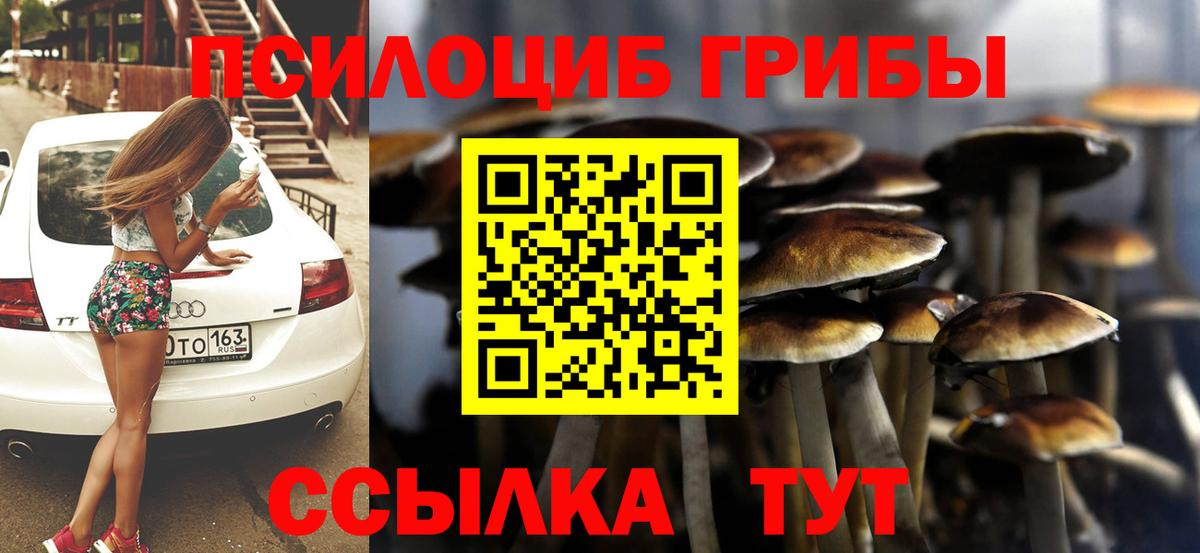 Галлюциногенные грибы GOLDEN TEACHER  Галлюциногенные грибы Cubensis  Вход с VPN  дарнет шоп  Братск 